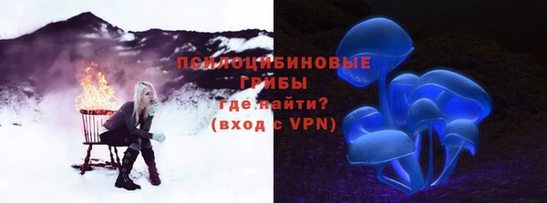 крисы Абдулино
