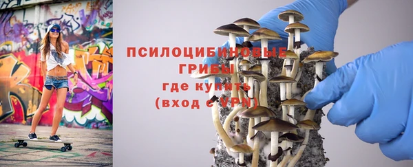 сатива Абаза