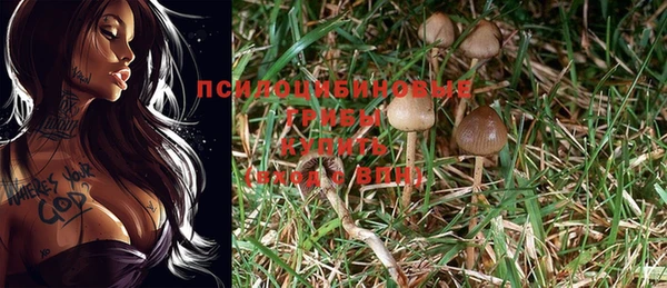 сатива Абаза